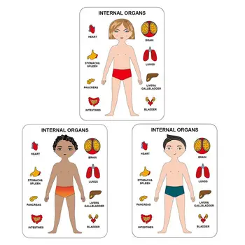 עץ גוף חידות לילדים מונטסורי צעצועים לפעוטות חידות גוף האדם פאזל בגיל הרך משחק ללימוד גוף האדם חלקים