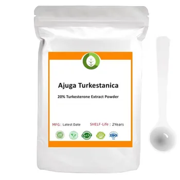 אספקת Ajuga Turkestanica / Ajuga multiflora / הרב Agaricus משלוח חינם
